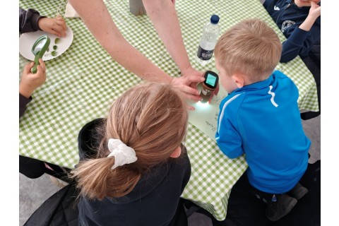 Warsztaty edukacyjno-przyrodnicze dla dzieci „Zielona baza małego ogrodnika”