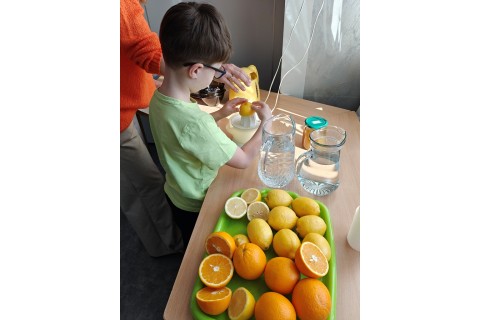 Warsztaty edukacyjno-przyrodnicze dla dzieci „Zielona baza małego ogrodnika”