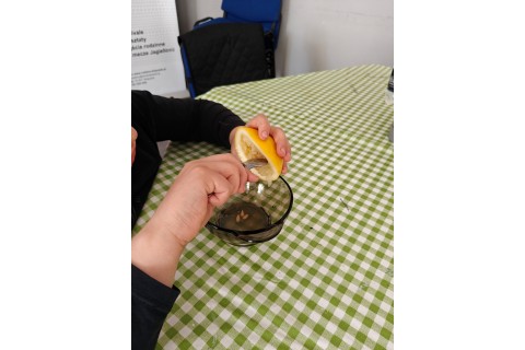 Warsztaty edukacyjno-przyrodnicze dla dzieci „Zielona baza małego ogrodnika”