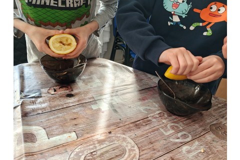 Warsztaty edukacyjno-przyrodnicze dla dzieci „Zielona baza małego ogrodnika”