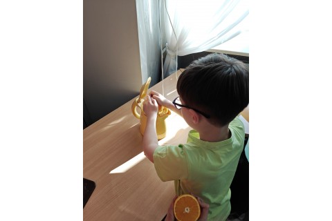 Warsztaty edukacyjno-przyrodnicze dla dzieci „Zielona baza małego ogrodnika”