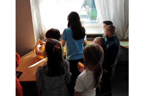 Warsztaty edukacyjno-przyrodnicze dla dzieci „Zielona baza małego ogrodnika”