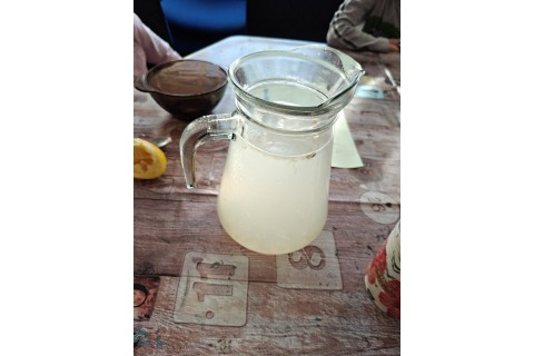 Warsztaty edukacyjno-przyrodnicze dla dzieci „Zielona baza małego ogrodnika”