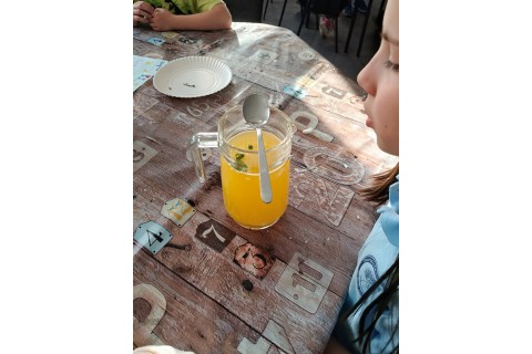 Warsztaty edukacyjno-przyrodnicze dla dzieci „Zielona baza małego ogrodnika”