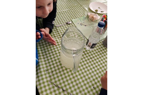 Warsztaty edukacyjno-przyrodnicze dla dzieci „Zielona baza małego ogrodnika”