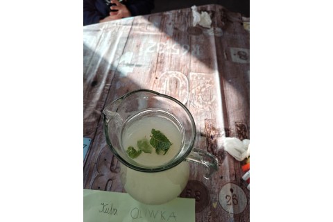 Warsztaty edukacyjno-przyrodnicze dla dzieci „Zielona baza małego ogrodnika”