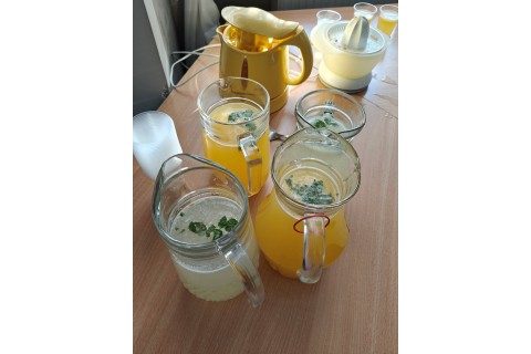 Warsztaty edukacyjno-przyrodnicze dla dzieci „Zielona baza małego ogrodnika”