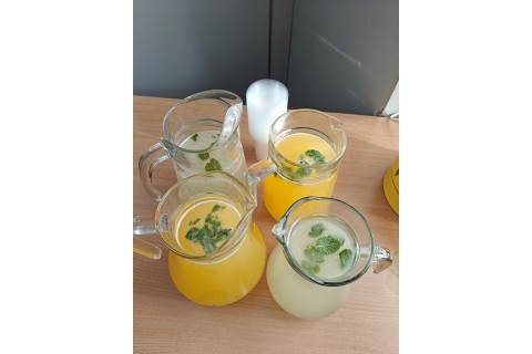 Warsztaty edukacyjno-przyrodnicze dla dzieci „Zielona baza małego ogrodnika”