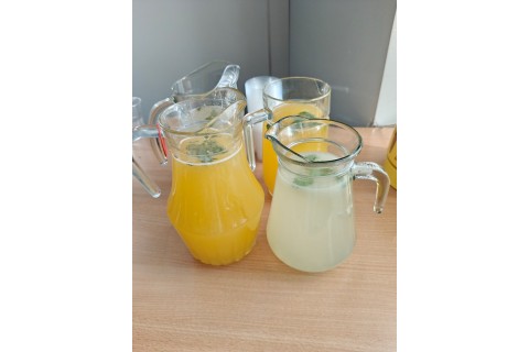 Warsztaty edukacyjno-przyrodnicze dla dzieci „Zielona baza małego ogrodnika”