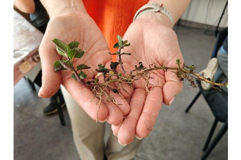Warsztaty edukacyjno-przyrodnicze dla dzieci „Zielona baza małego ogrodnika”