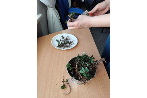 Warsztaty edukacyjno-przyrodnicze dla dzieci „Zielona baza małego ogrodnika”