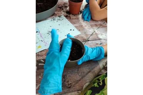 Warsztaty edukacyjno-przyrodnicze dla dzieci „Zielona baza małego ogrodnika”