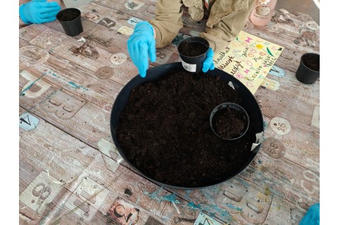 Warsztaty edukacyjno-przyrodnicze dla dzieci „Zielona baza małego ogrodnika”