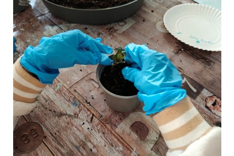 Warsztaty edukacyjno-przyrodnicze dla dzieci „Zielona baza małego ogrodnika”