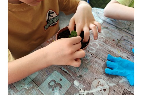 Warsztaty edukacyjno-przyrodnicze dla dzieci „Zielona baza małego ogrodnika”