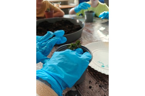 Warsztaty edukacyjno-przyrodnicze dla dzieci „Zielona baza małego ogrodnika”