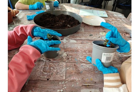 Warsztaty edukacyjno-przyrodnicze dla dzieci „Zielona baza małego ogrodnika”