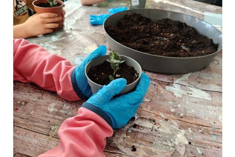 Warsztaty edukacyjno-przyrodnicze dla dzieci „Zielona baza małego ogrodnika”