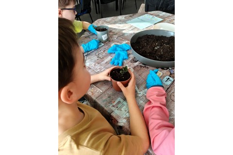 Warsztaty edukacyjno-przyrodnicze dla dzieci „Zielona baza małego ogrodnika”