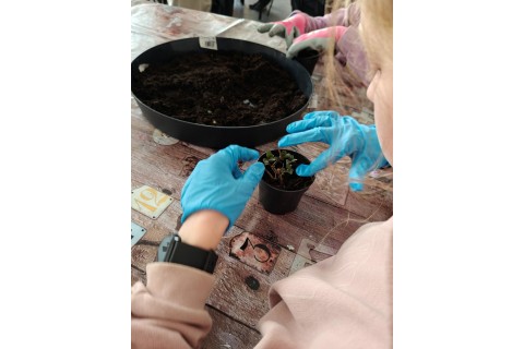 Warsztaty edukacyjno-przyrodnicze dla dzieci „Zielona baza małego ogrodnika”