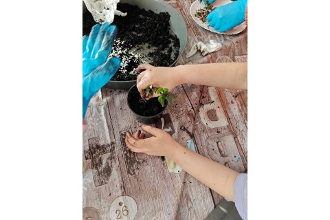 Warsztaty edukacyjno-przyrodnicze dla dzieci „Zielona baza małego ogrodnika”