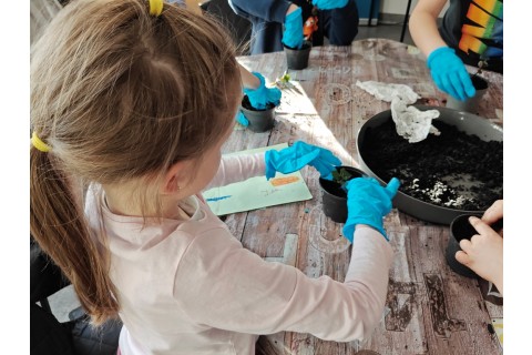 Warsztaty edukacyjno-przyrodnicze dla dzieci „Zielona baza małego ogrodnika”