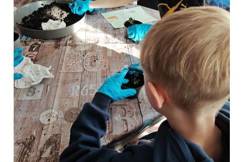 Warsztaty edukacyjno-przyrodnicze dla dzieci „Zielona baza małego ogrodnika”