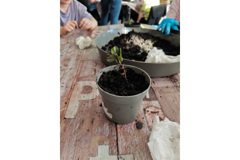 Warsztaty edukacyjno-przyrodnicze dla dzieci „Zielona baza małego ogrodnika”