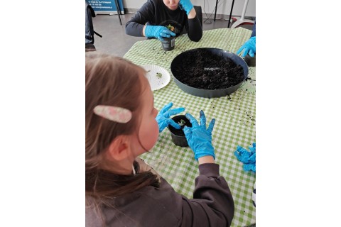 Warsztaty edukacyjno-przyrodnicze dla dzieci „Zielona baza małego ogrodnika”