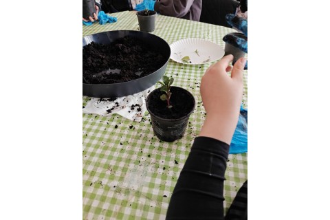 Warsztaty edukacyjno-przyrodnicze dla dzieci „Zielona baza małego ogrodnika”