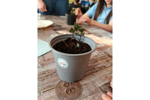 Warsztaty edukacyjno-przyrodnicze dla dzieci „Zielona baza małego ogrodnika”