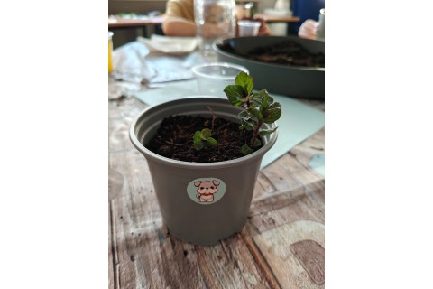 Warsztaty edukacyjno-przyrodnicze dla dzieci „Zielona baza małego ogrodnika”