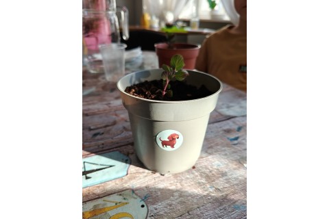 Warsztaty edukacyjno-przyrodnicze dla dzieci „Zielona baza małego ogrodnika”