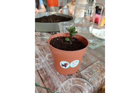 Warsztaty edukacyjno-przyrodnicze dla dzieci „Zielona baza małego ogrodnika”