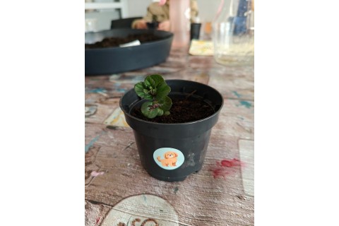 Warsztaty edukacyjno-przyrodnicze dla dzieci „Zielona baza małego ogrodnika”