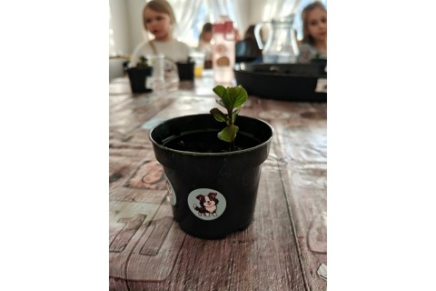 Warsztaty edukacyjno-przyrodnicze dla dzieci „Zielona baza małego ogrodnika”