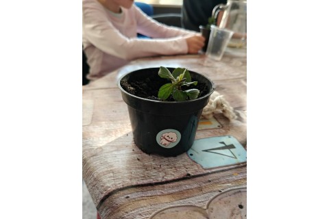 Warsztaty edukacyjno-przyrodnicze dla dzieci „Zielona baza małego ogrodnika”