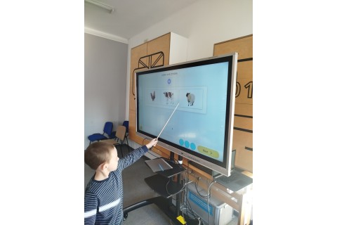 Zajęcia j. angielskiego dla dzieci 5-6 lat