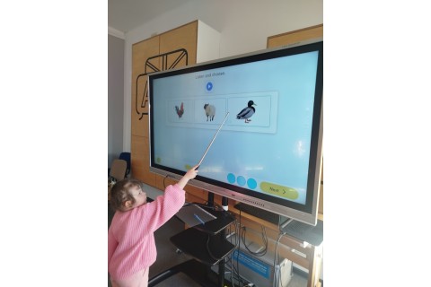 Zajęcia j. angielskiego dla dzieci 5-6 lat