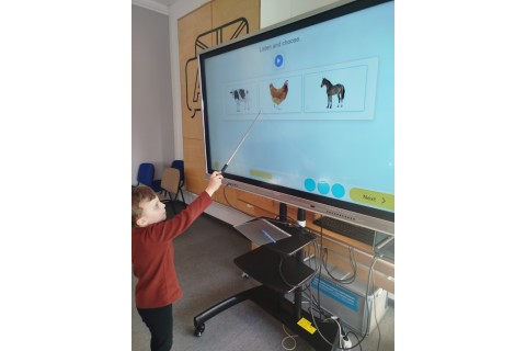 Zajęcia j. angielskiego dla dzieci 5-6 lat