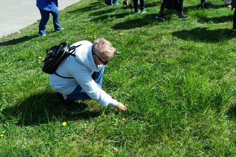 Warsztaty hortiterapeutyczne dla seniorów „Zielona równowaga”