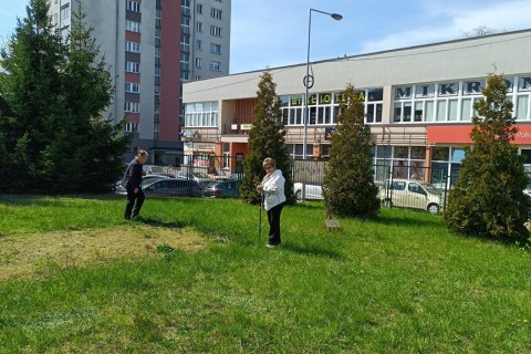 Warsztaty hortiterapeutyczne dla seniorów „Zielona równowaga”