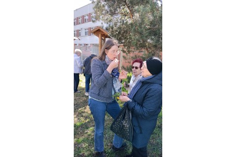 Warsztaty hortiterapeutyczne dla seniorów „Zielona równowaga”