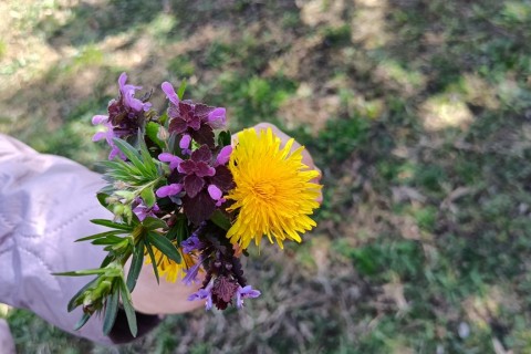 Warsztaty hortiterapeutyczne dla seniorów „Zielona równowaga”