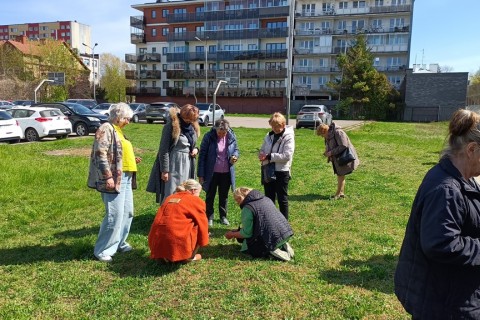 Warsztaty hortiterapeutyczne dla seniorów „Zielona równowaga”