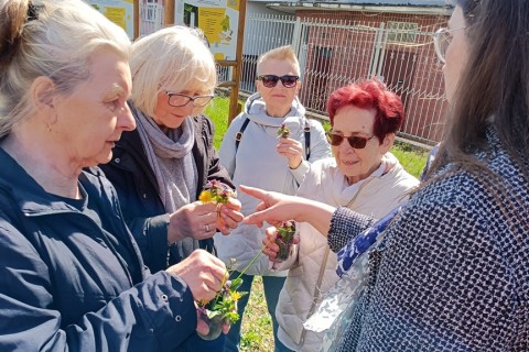 Warsztaty hortiterapeutyczne dla seniorów „Zielona równowaga”