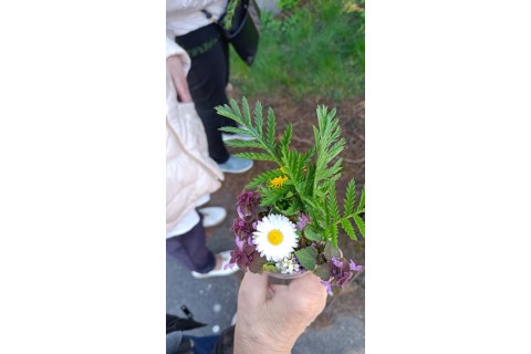 Warsztaty hortiterapeutyczne dla seniorów „Zielona równowaga”