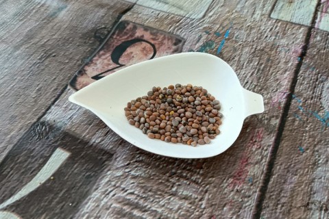 Warsztaty hortiterapeutyczne dla seniorów „Zielona równowaga”