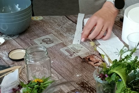 Warsztaty hortiterapeutyczne dla seniorów „Zielona równowaga”