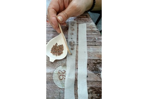 Warsztaty hortiterapeutyczne dla seniorów „Zielona równowaga”